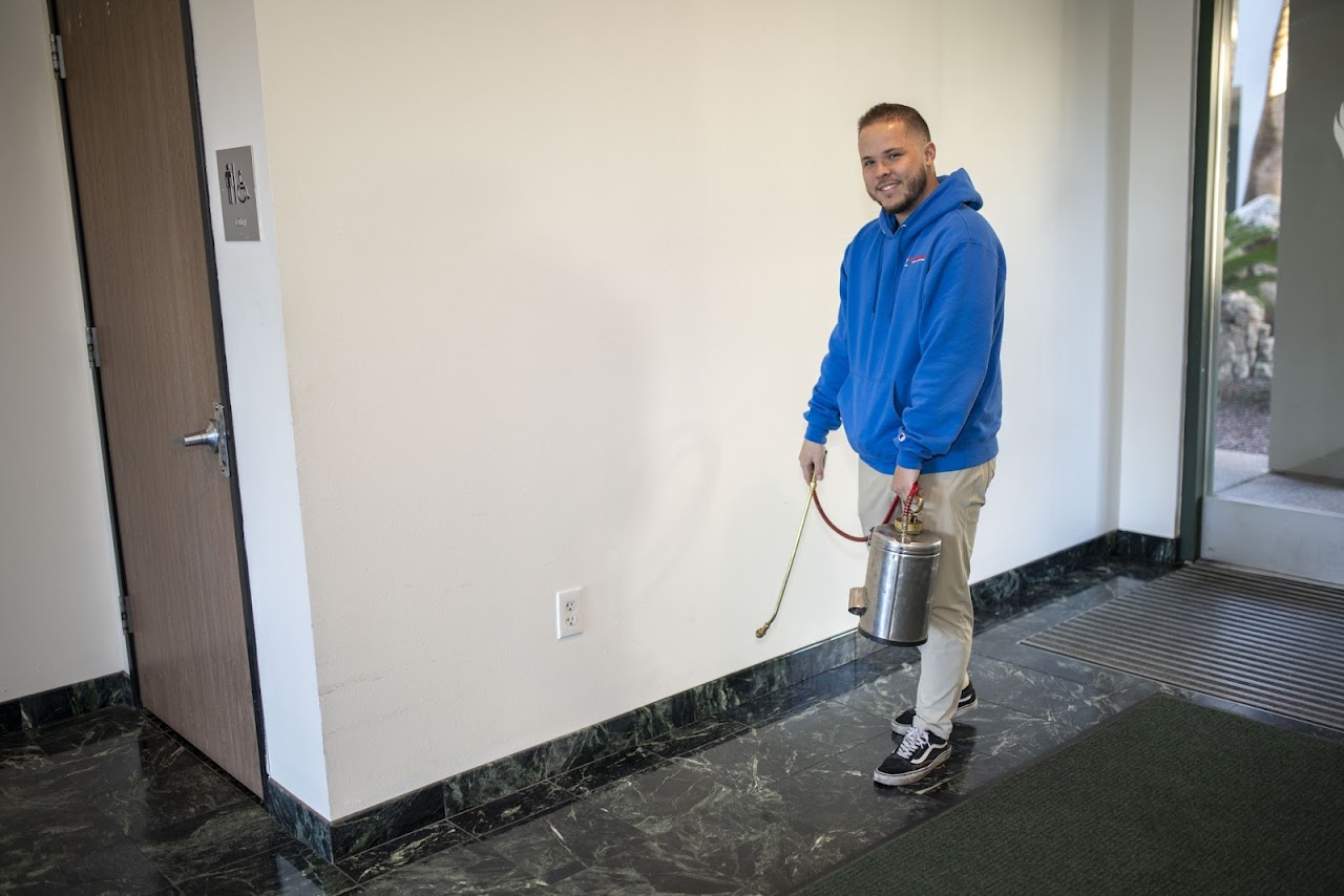 Russell Pest Control project